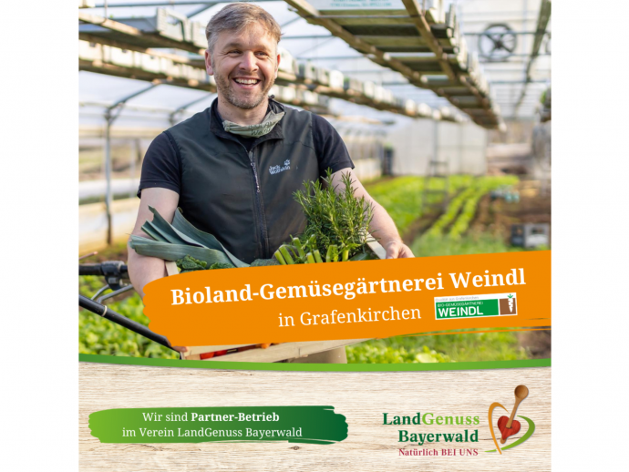 Bioland-Gemüsegärtnerei Weindl in Grafenkirchen/Pemfling